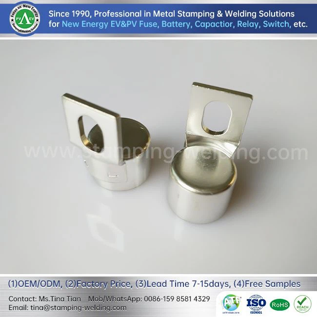 Tin-plated Copper Caps